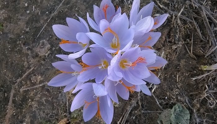 imerys-sustainable 2018c