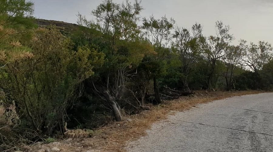 tryphth ergasies topikh0520e