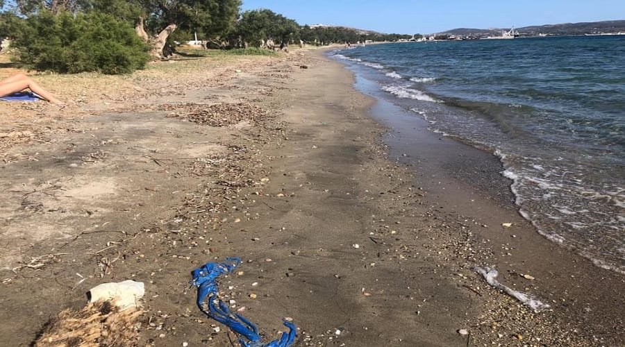 ethelontikh milos papikinou2020