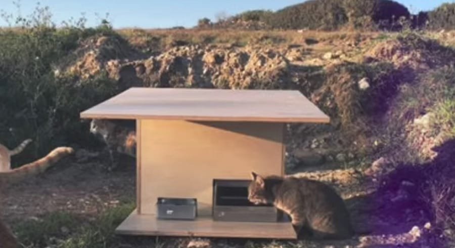 pospom katafygio gates2