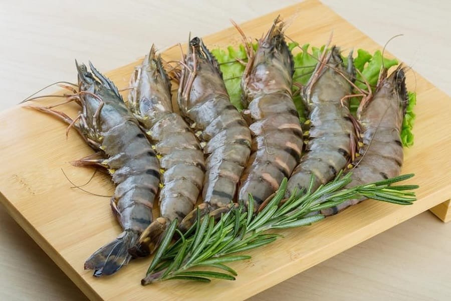 flerianos pagodynamikh2 milos