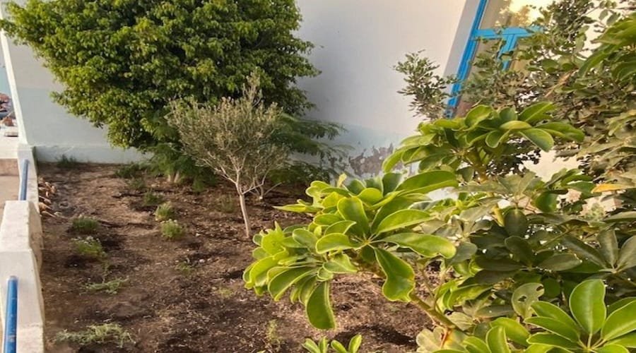 kimolos votanikos kipos2