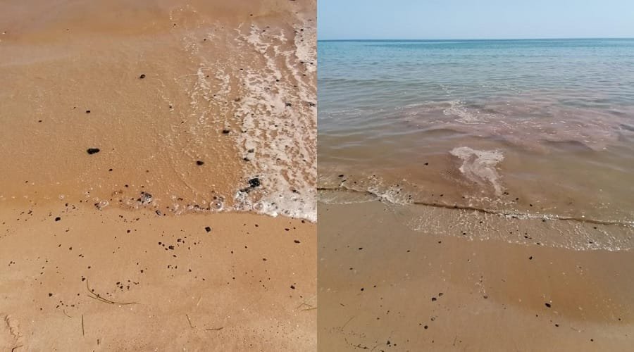 provatas rypansh milos 1