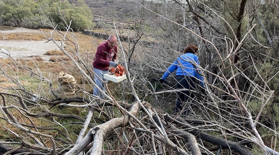 kimolistes vrwmolimni 2021a