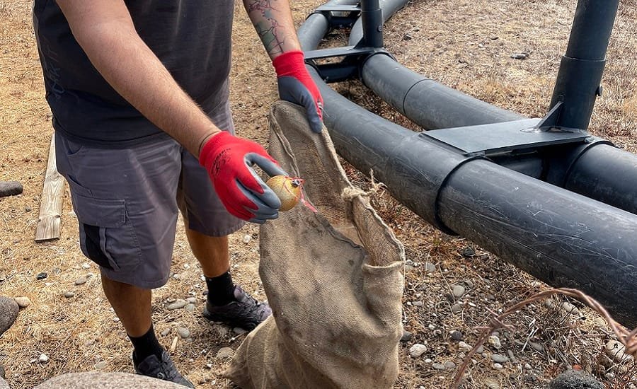 kimolistes vrwmolimni 2021b