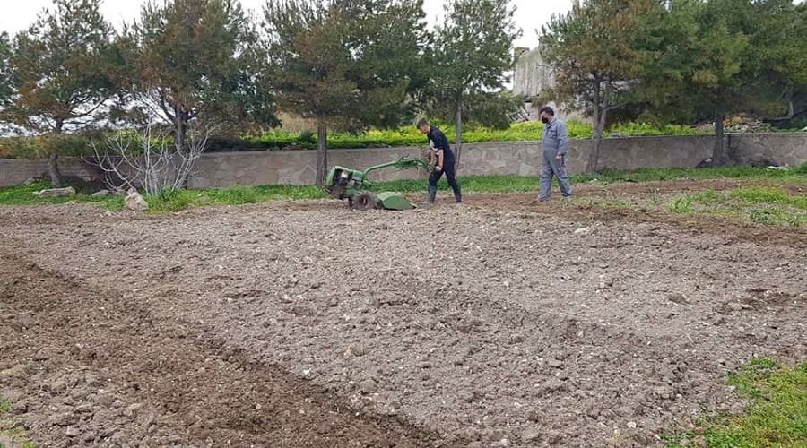 epal laxanokipos milos 2022b