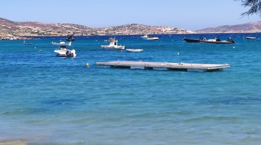 pollonia plwtes exedres 2022b