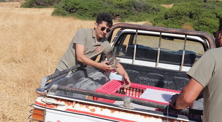 kynhgetikos viotopoi milos 2022a