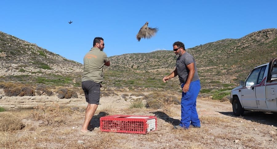 kynhgetikos viotopoi milos 2022b