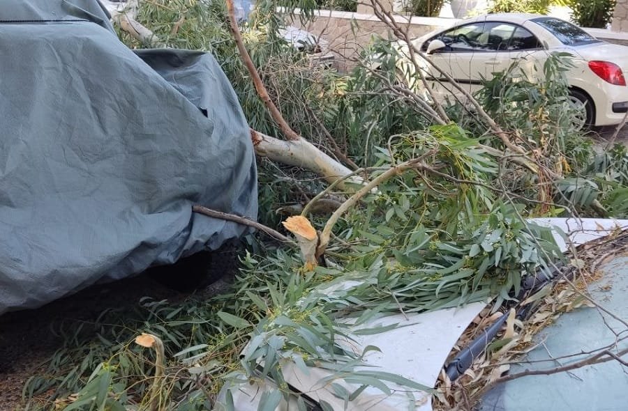 lagada katarreysh eykalyptwn 2022a