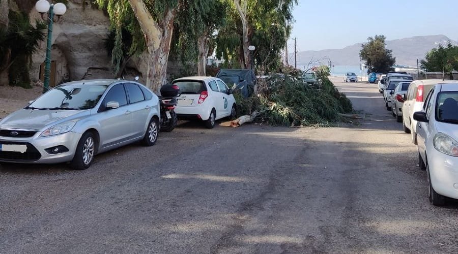 lagada katarreysh eykalyptwn 2022c