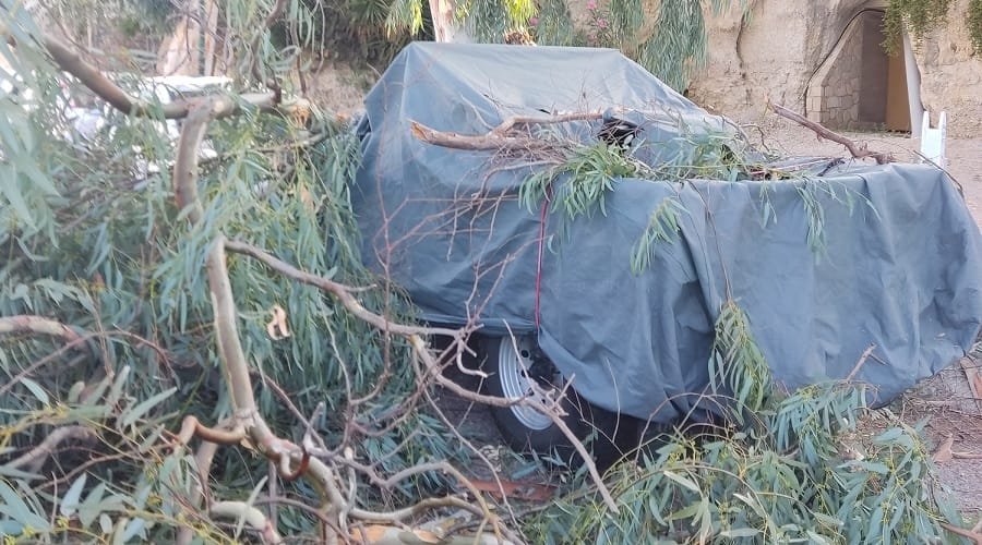 lagada katarreysh eykalyptwn 2022d