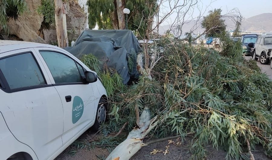 lagada katarreysh eykalyptwn 2022e