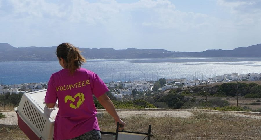 save greek stray milos 2022a