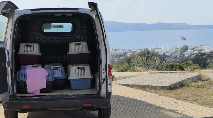 save greek stray milos 2022c