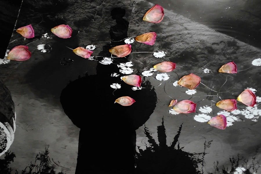 lykeridou afrodith parisi 2022b