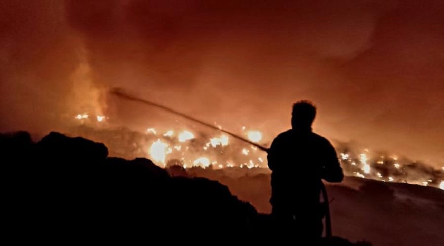 oedim pyrkagia bradoni 2023