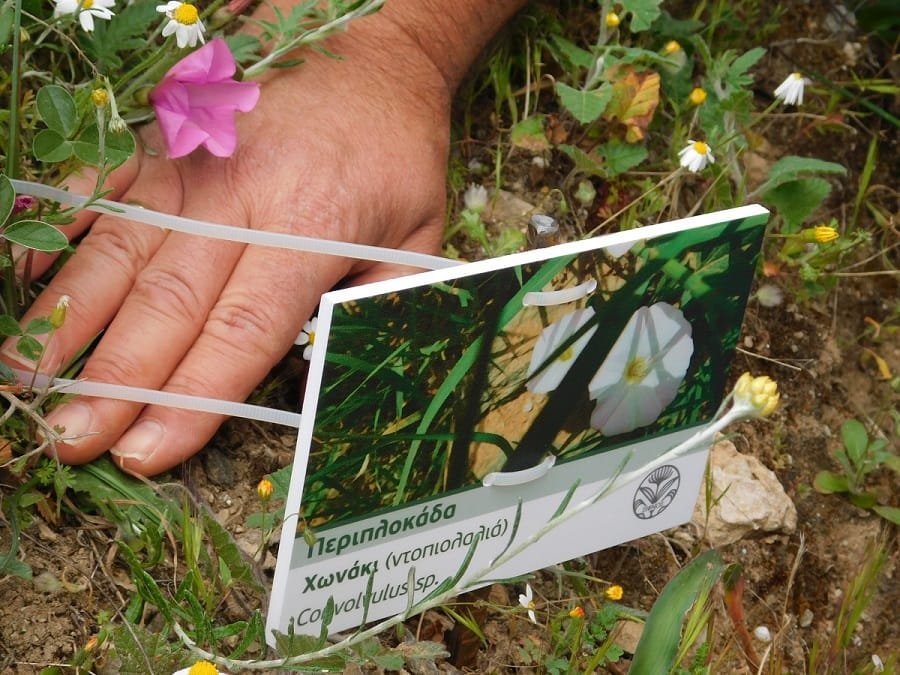 sifnos votaniko monopati 2023b