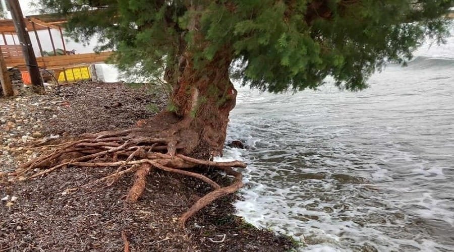 sifnos vathy diavrwsh 2024b min