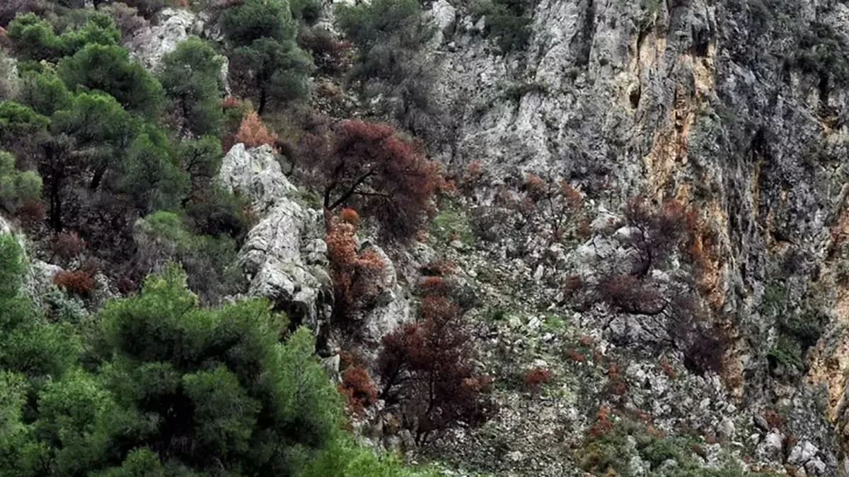 sikinos-anthrwpinos-skeletos-2025