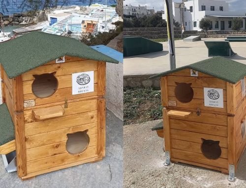 Τοποθετήθηκαν τα πρώτα «σπιτάκια» για αδέσποτα σε Χαλικιά και Μανδράκια