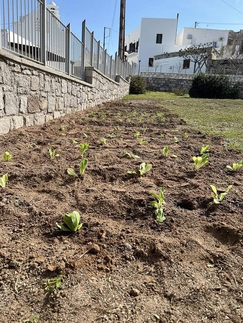 nhpiagwgeio-triovasalwn-mikroi-khpouroi-milos-2026a