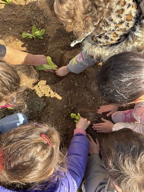 nhpiagwgeio-triovasalwn-mikroi-khpouroi-milos-2026b