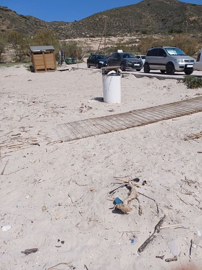 plathiena-kataggelia-skoupidia-egkataleipsi-milos-2026c